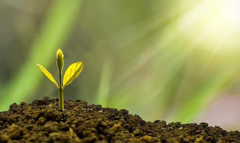 【首发】Synaire新奈完成数千万元天使轮融资，打造“呼吸机中的戴森”