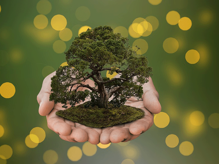 新奈：以绿色创新引领医疗科技可持续发展