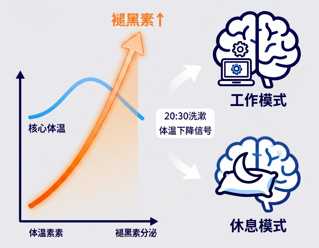 科普 | 从“提前洗漱”到“整夜安睡”：一场睡前仪式革命，藏着睡眠自由的答案(图2)