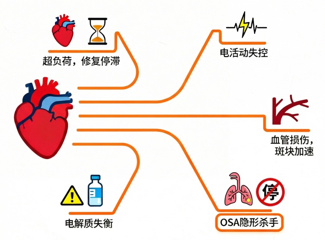 别让熬夜透支生命：睡眠与猝死的科学真相(图11)